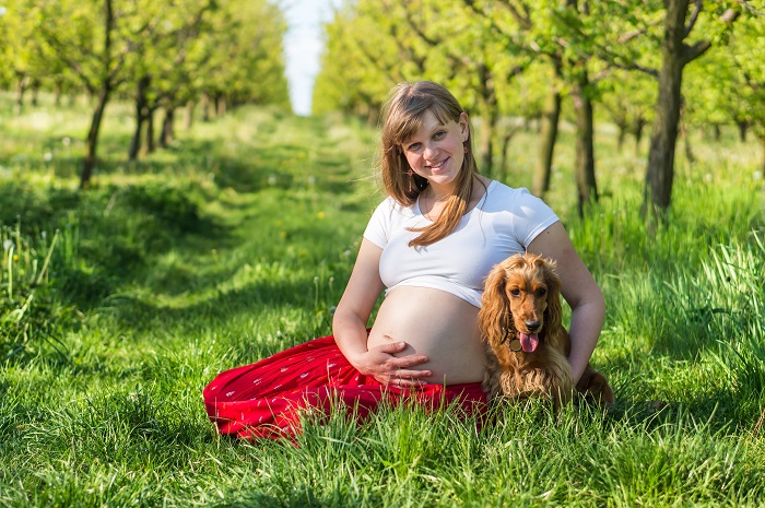 Embarazo: cómo enfrentarse a la toxoplasmosis