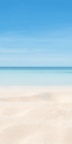 Bloque 3 – Posición 2 Image